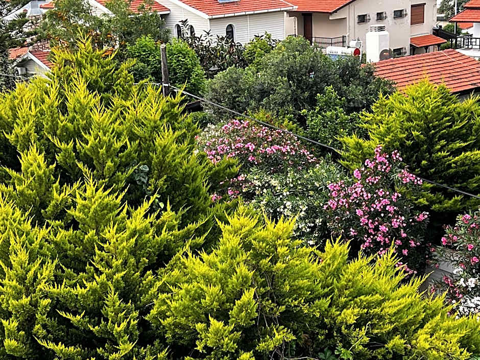Ada Konak Otel
