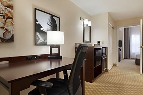 One-Bedroom King Suite with Sofa Bed - Non-Smoking