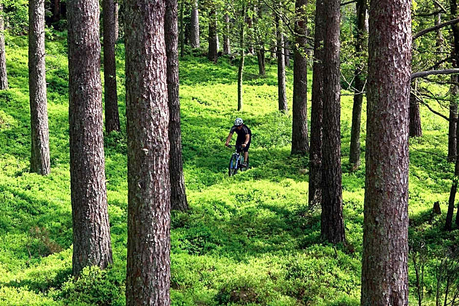 Vallåsens Värdshus STF Hostel