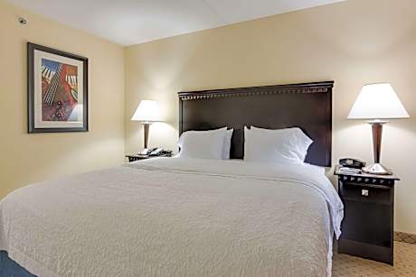 1 King Studio Suite W/Sofabed Nonsmoking