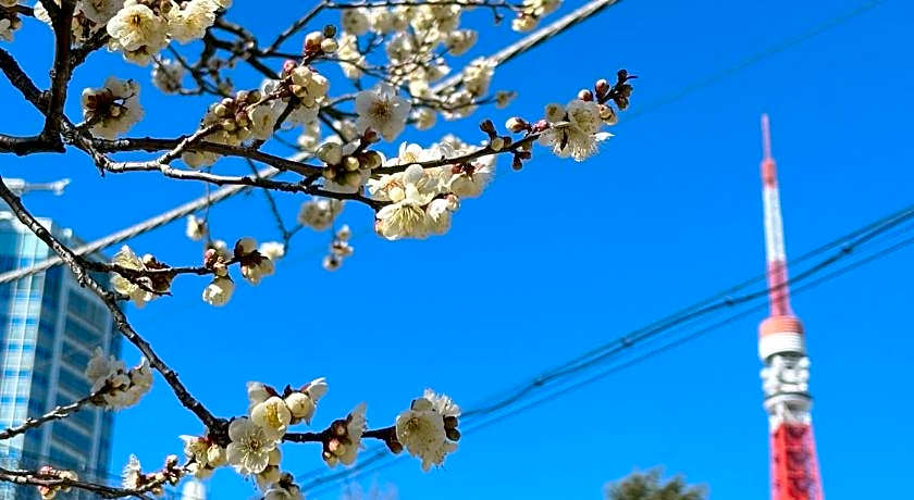 ROSE STAY tokyo shiba park