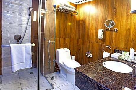 Superior King Room with City View