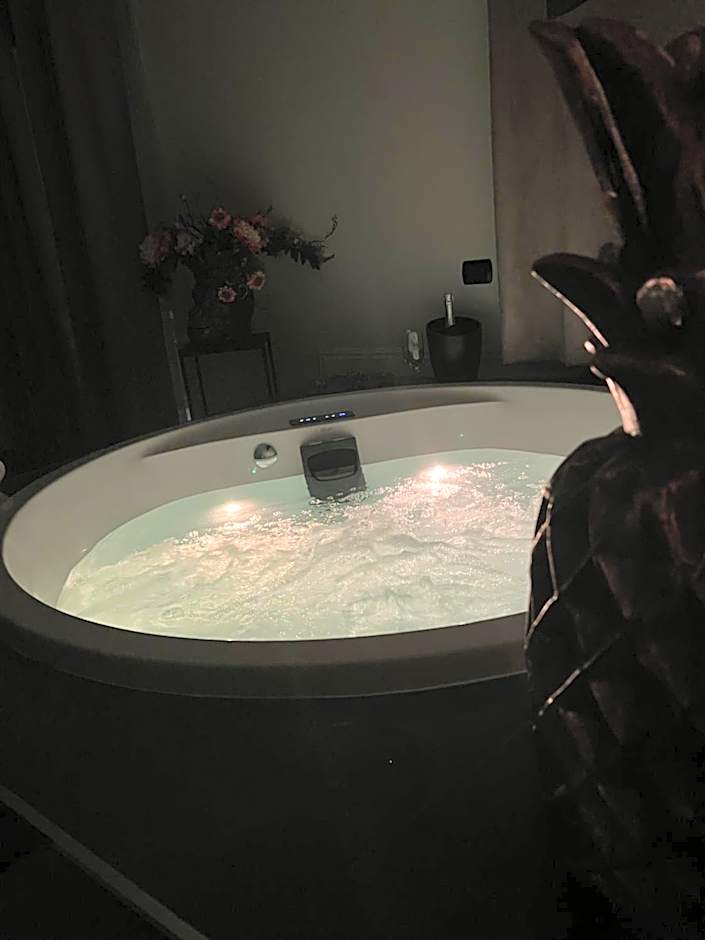 NM Luxury Suites