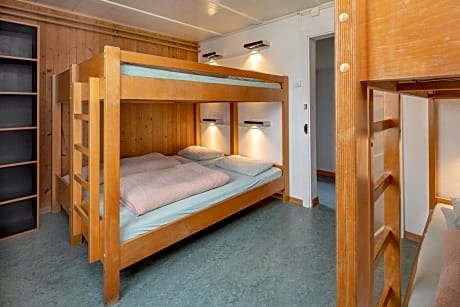 Bed in 6-Bed Dormitory Room