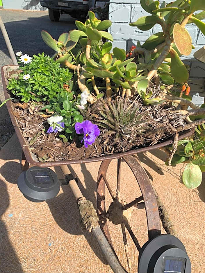 Temora Motel - UNDER NEW MANAGEMENT