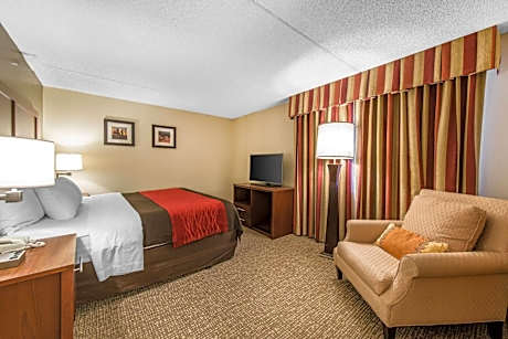 One-Bedroom King Suite with Sofa Bed - Non-Smoking