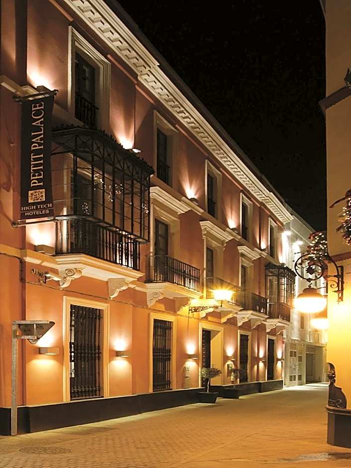 Petit Palace Marques Santa Ana