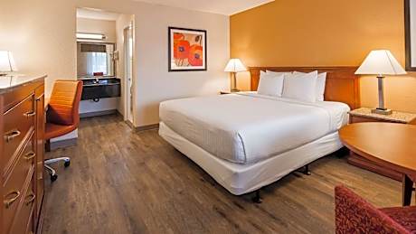 King Room - Smoking/Pet Friendly