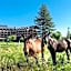 Puigcerda Park Hotel
