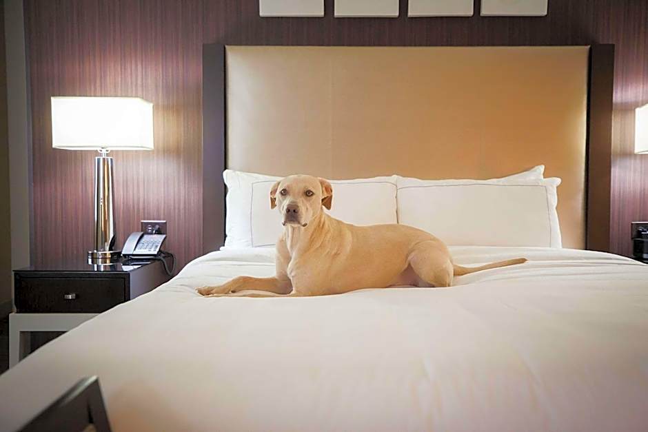 Hilton Salt Lake City Center