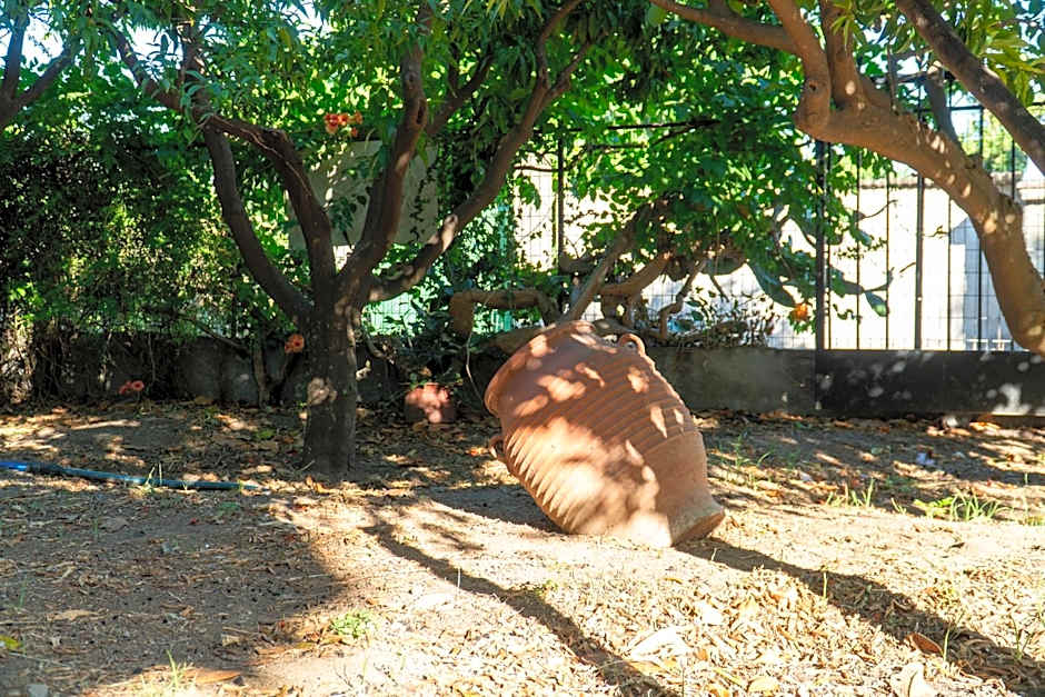 Davis Studios & Apartments