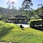Pousada do Tie - Rio Preto MG