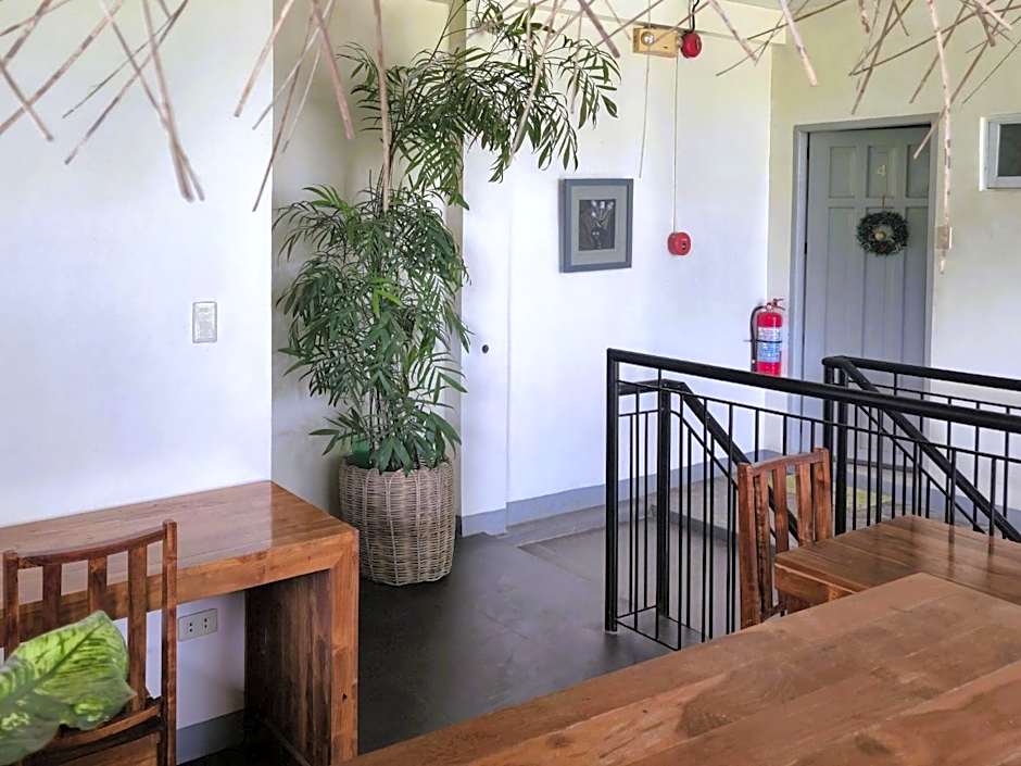 Green Turtle Backpackers Guesthouse, Puerto Princesa