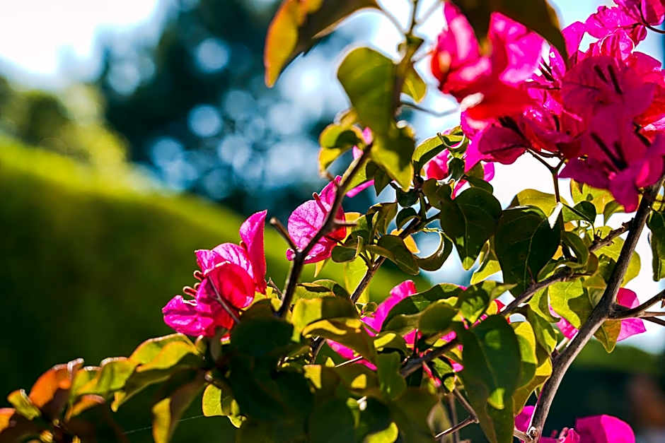 Casa Codebò - Guest House