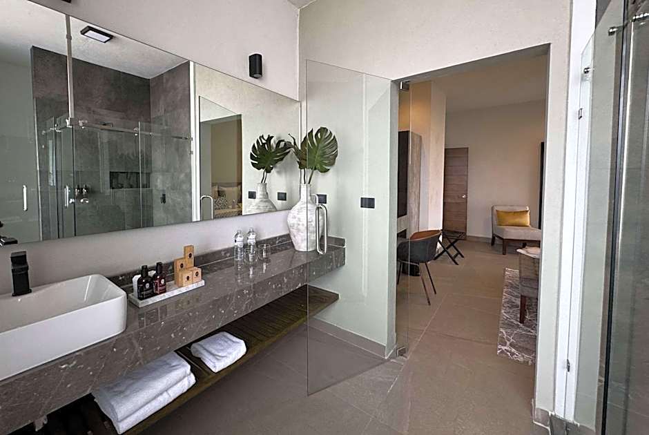 Esplendor by Wyndham San Luis Potosi Monarca