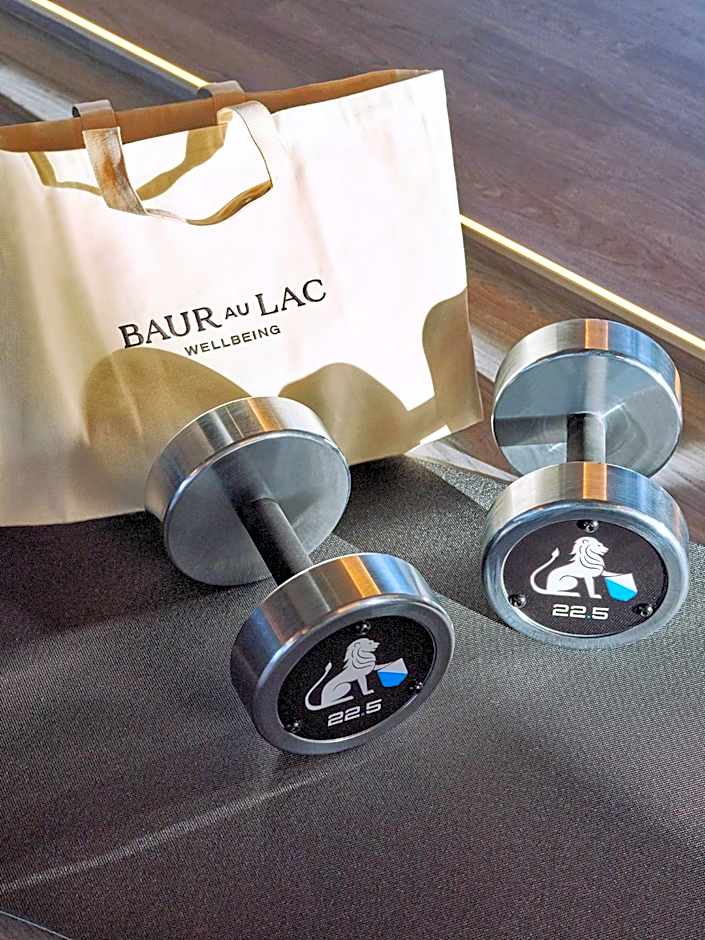 Baur au Lac