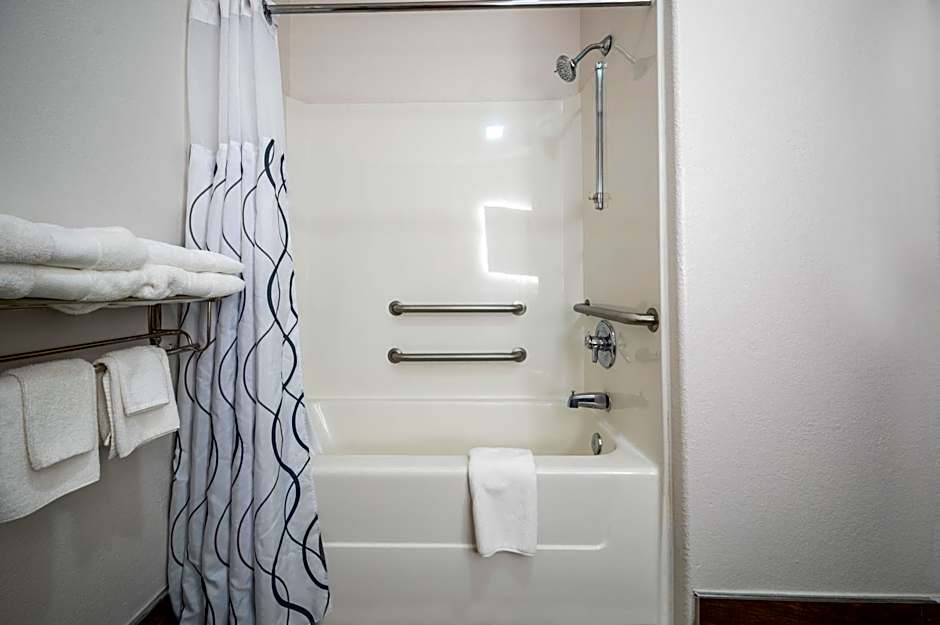 The Leo Collection Detroit, Ascend Hotel Collection