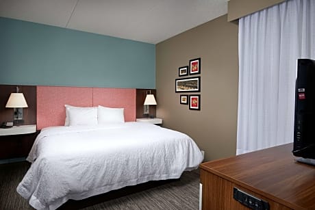 1 King 1 Bedroom Suite W/ Sofabed Nonsmok