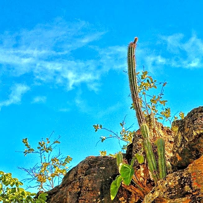 Pousada Chapada das Mesas