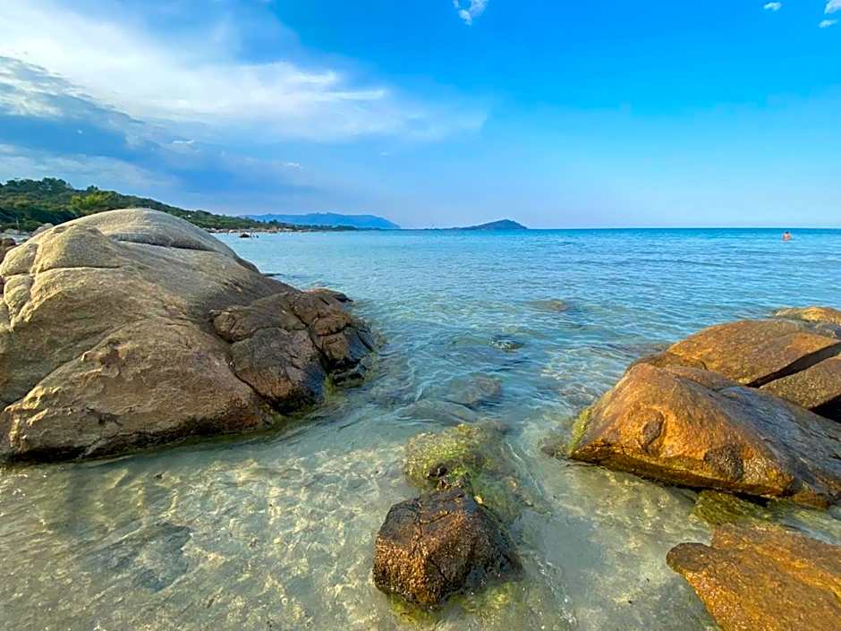 Al Vicoletto - Genuine Hospitality