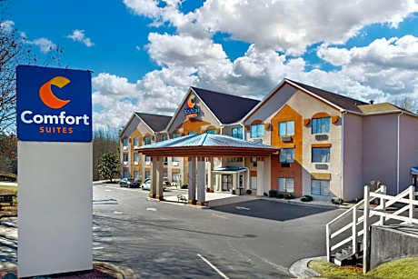 Comfort Suites Northside Hospital Gwinnett