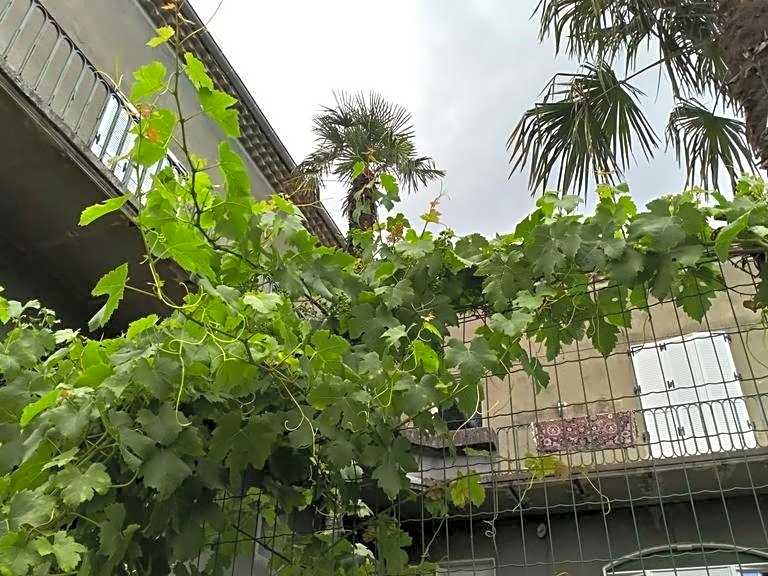 La Maison Jaffran, suite en ville