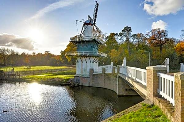 Tiny House Lindenhouse