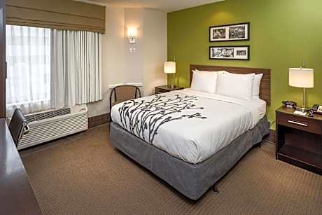 1 Queen Bed, Nonsmoking, Accessible