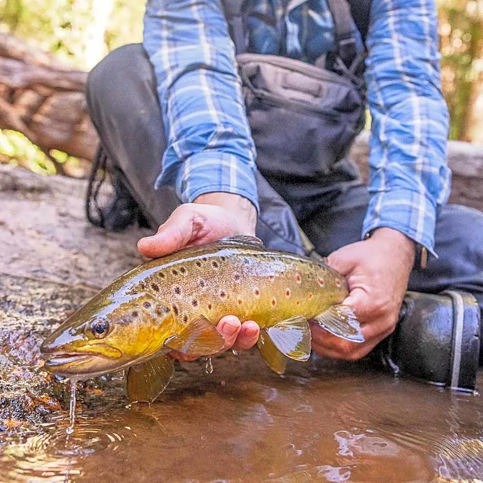 Thousand Lakes Lodge