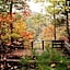 Nacoochee Valley Rentals