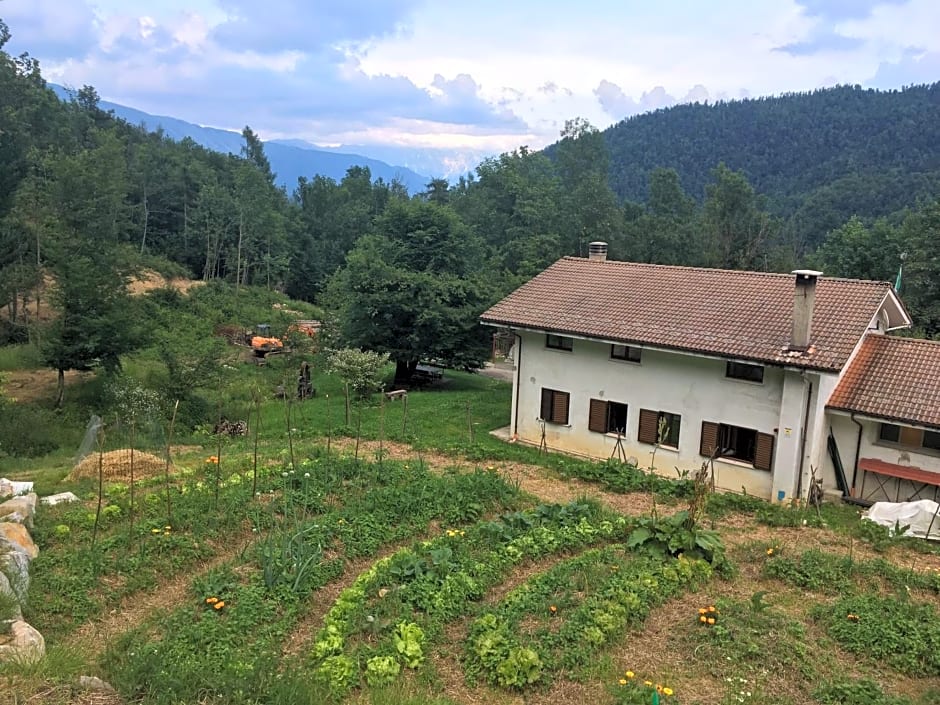 Bosco delle Rune ..un angolo di paradiso
