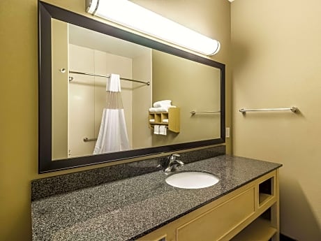 1 King Bed Deluxe Suite Non-Smoking