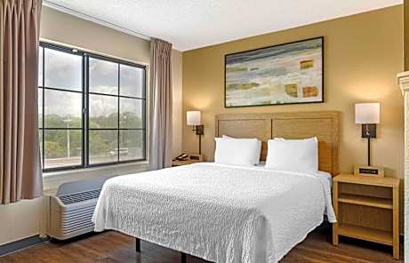 Deluxe Studio with 1 Queen Bed - Non-Smoking