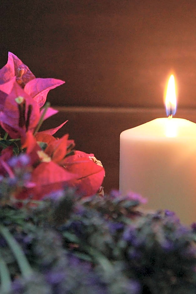 Hotel Colonne - Alihotels