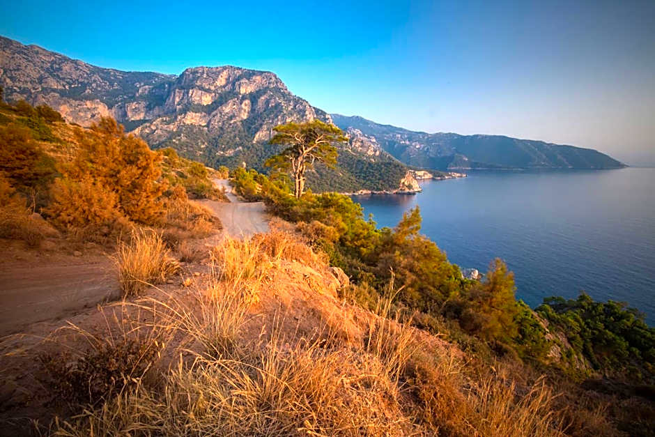 Kabak Avalon Bungalows