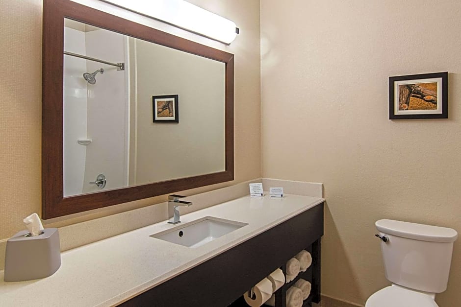 Comfort Suites NW Dallas Near Love Field