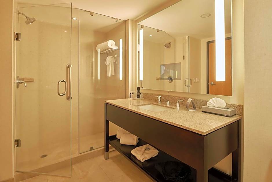 Wingate by Wyndham Chihuahua