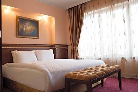 Superior Double or Twin Room with City View