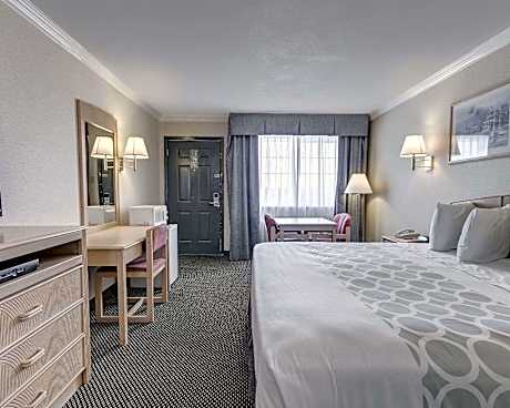 Quadruple Room - Disability Access/Non Smoking