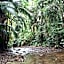 Brisa da Mata Ecolodges