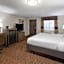 Baymont by Wyndham Downtown Detroit