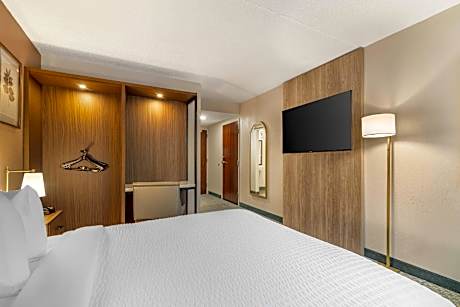 1 Double Bed, Nonsmoking, Accessible