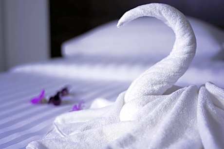 Standard Twin Room with Mountain View