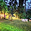 Little River Motel Saint Regis