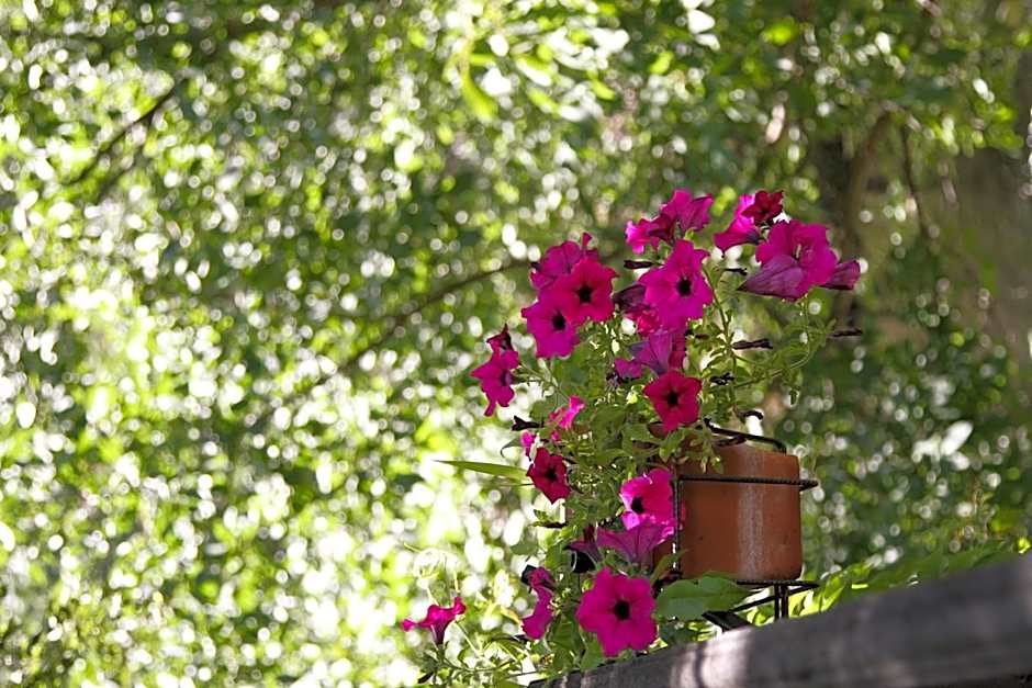 Hotel La Venta de Goyo