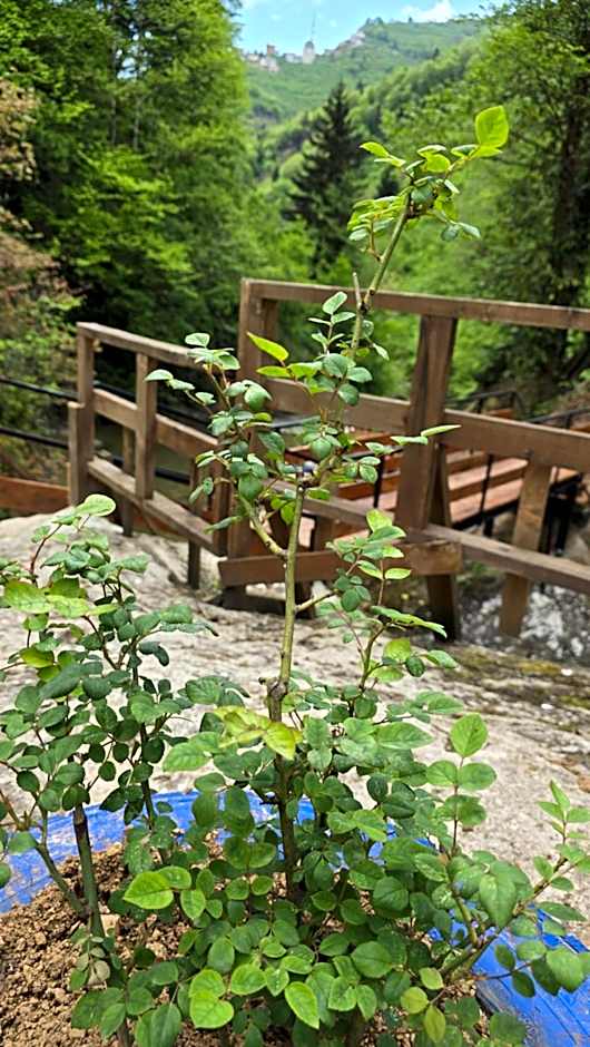 Muradland منتجع فيلات الوادي الأخضر