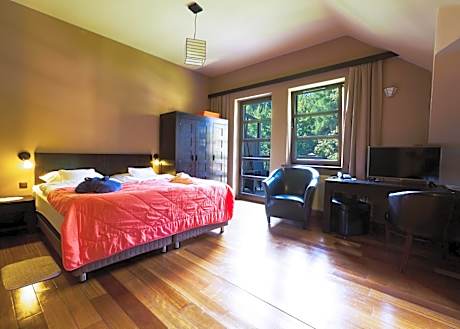 Double or Twin Room with Balcony