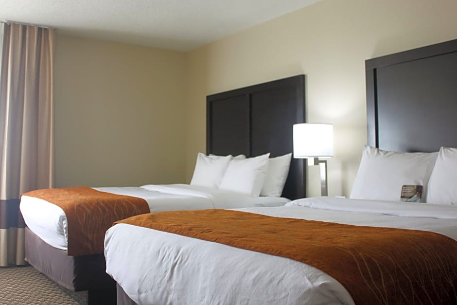 Comfort Inn Matteson