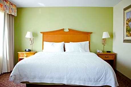 1 King Bed Studio Suite Nonsmoking