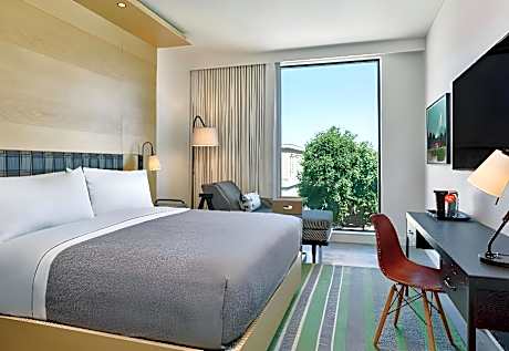 1 King Bed
